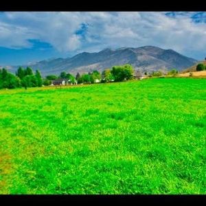 Meet your Posher, Klaus